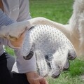 Manusa pentru ingrijirea animalelor de companie InnovaGoods Brush & Massage, silicon