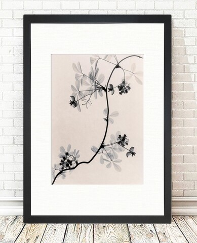 Tablou decorativ Cressida Branch, Tablo center, 24×29 cm, MDF, multicolor 24x29