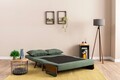 Canapea extensibilă cu 2 locuri, Futon, 859FTN2725, Metal , Verde