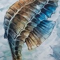 Tablou decorativ, Seahorse, Creaciones Meng, 32x32 cm, hartie/lemn
