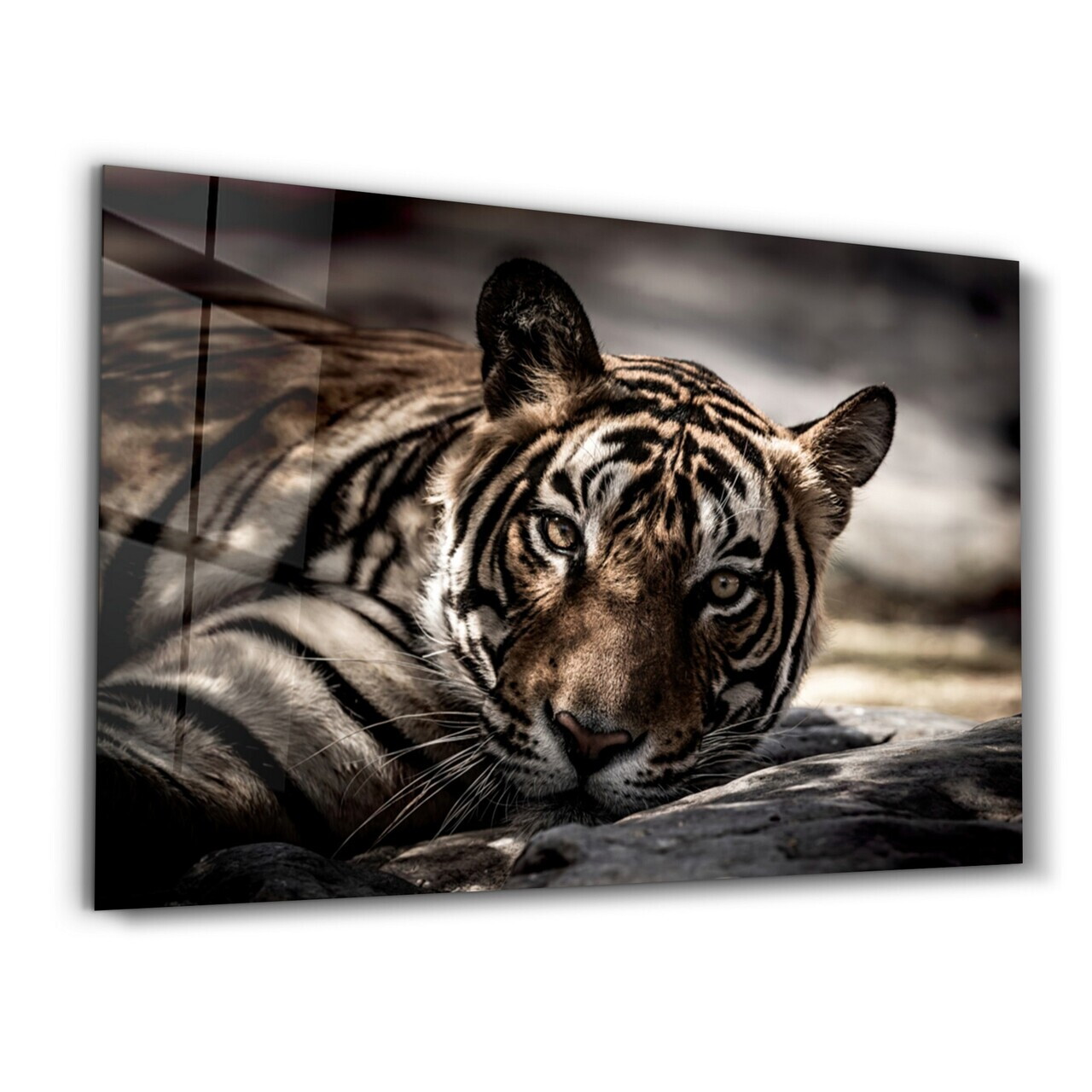 Tablou decorativ, CAM-1057, Dimensiuni: 70 x 110 cm, Multicolor — imaginea 5