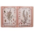 Decoratiune de perete Book Shape Rosmarinus, Creaciones Meng, 45x28 cm