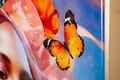 Tablou decorativ Marty -B, Mauro Ferretti, 62x92 cm, lemn de pin/canvas pictat si lacuit, multicolor