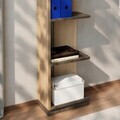 Corp biblioteca, Hanah Home, Aura, 37.8x150x23.8 cm, Stejar cald/Nuc Istanbul