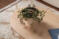 Masuta de cafea, Nordure, Sable, Maro