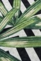 Covoras de baie, Chilai, Tropic DJT, 40x60 cm