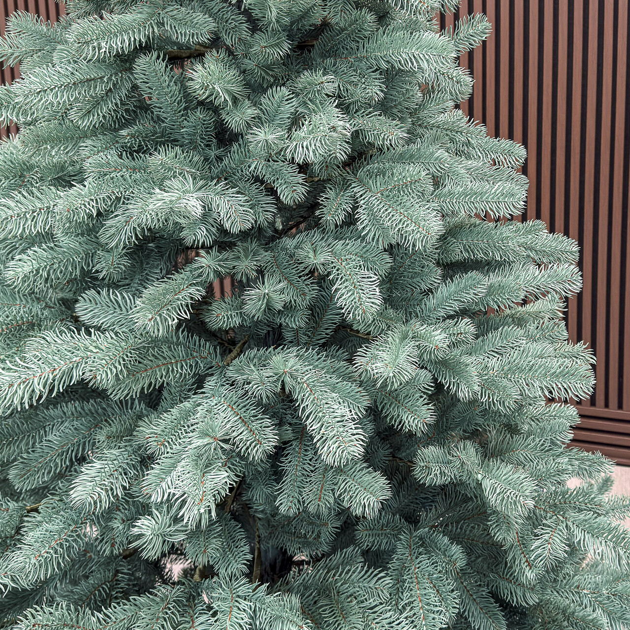 Brad artificial Christmas Deluxe by Sersimo, Kovalivka Select argintiu, integral 3D, 230 cm