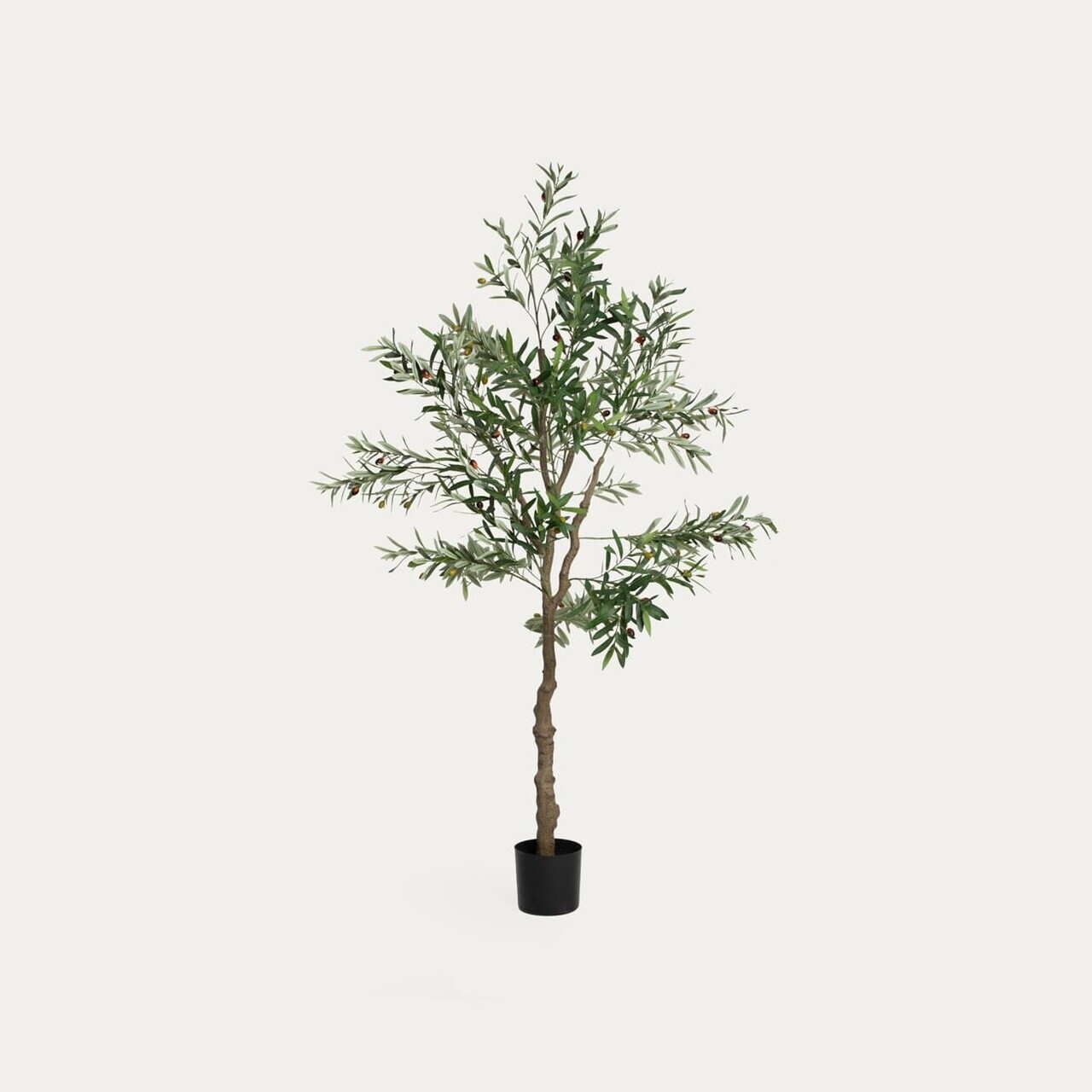 Planta artificiala maslin Greenora, Homla, 180 cm, plastic, verde