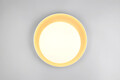 Plafoniera Aleta, RL, 45x8 cm, 24W, 1x SMD, plastic, auriu
