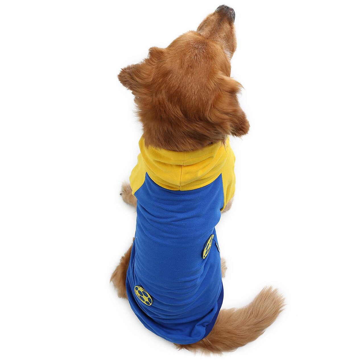 Hanorac pentru câini, Paws &amp; Whiskers, Navyballssweat, Albastru/Galben - view 3