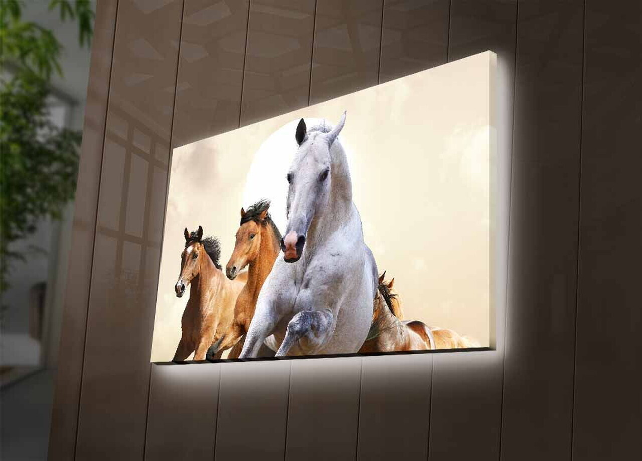 Tablou decorativ cu lumina LED, 4570DHDACT-093, PÂNZĂ DIN PIELE ÎNTOARSĂ, Dimensiune: 45 x 70 cm, Multicolor — imaginea 3