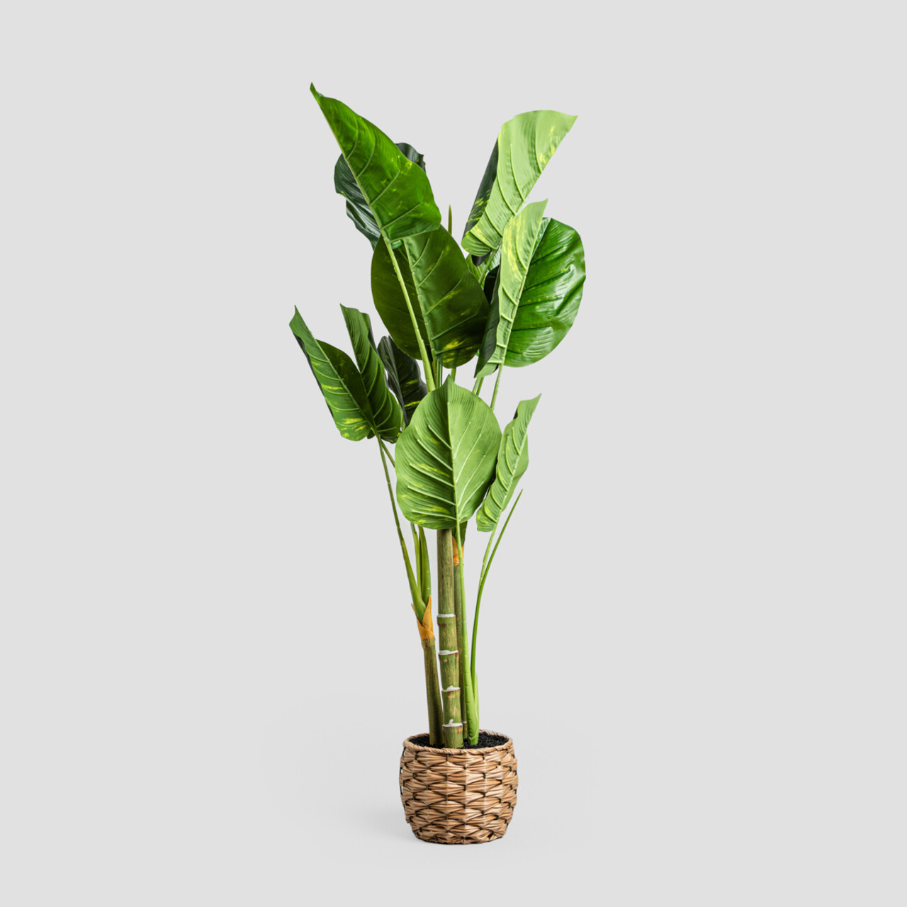 Planta artificiala B2 Difenbachia, Homla, 110 cm, plastic, verde/bej - imagine 3