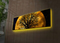 Tablou decorativ cu lumina LED, 3090DACT-71, Canvas, 30 x 90 cm, Multicolor