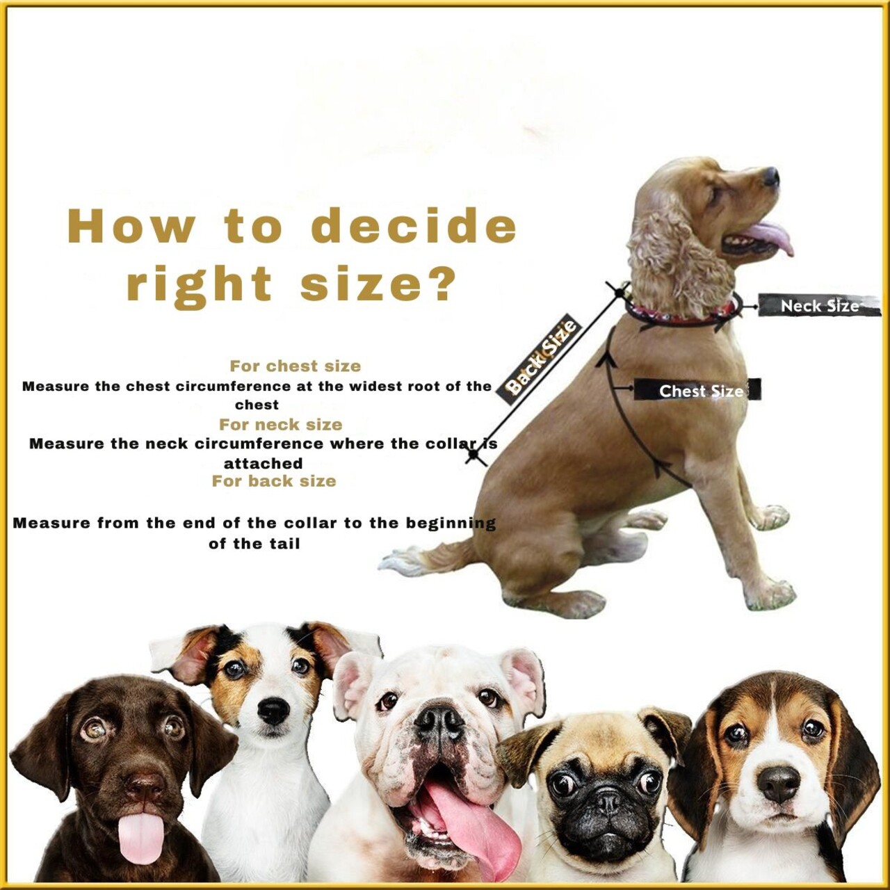 Hanorac pentru câini, Paws &amp; Whiskers, Mebranlı Raincoat, Verde - imagine 5