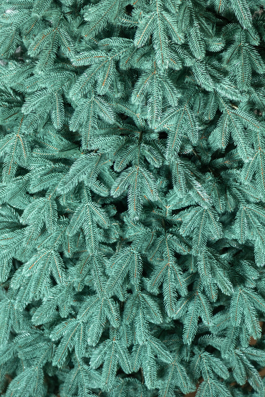 Brad artificial Christmas Deluxe by Sersimo, Laponia Select argintiu, integral 3D, 250cm — imaginea 19
