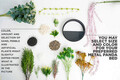 Decoratiune de perete, Shrubby St. Johnswort, Metal, Fier, Verde/Alb