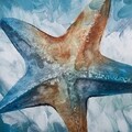 Tablou decorativ, Starfish, Creaciones Meng, 32x32 cm, hartie/lemn