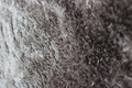 Covor, Flair Rugs, Serenity, 160 x 230 cm, poliester, gri