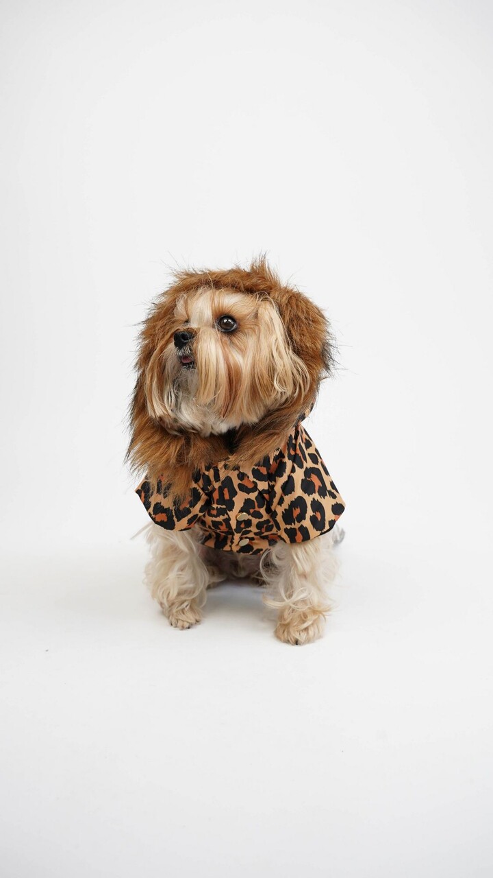 Hanorac pentru câini, Paws &amp; Whiskers, Leopar Coat, Multicolor - view 3