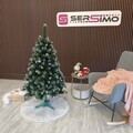Brad artificial Christmas Deluxe by Sersimo, Crystal nins cu merisoare, 2D, 150cm