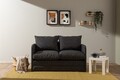Canapea extensibilă cu 2 locuri, Futon, 859FTN2875, Metal , Gri inchis