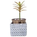 Ghiveci, Drew, Creaciones Meng, 10.6x10.6x8.5 cm, ciment, gri deschis