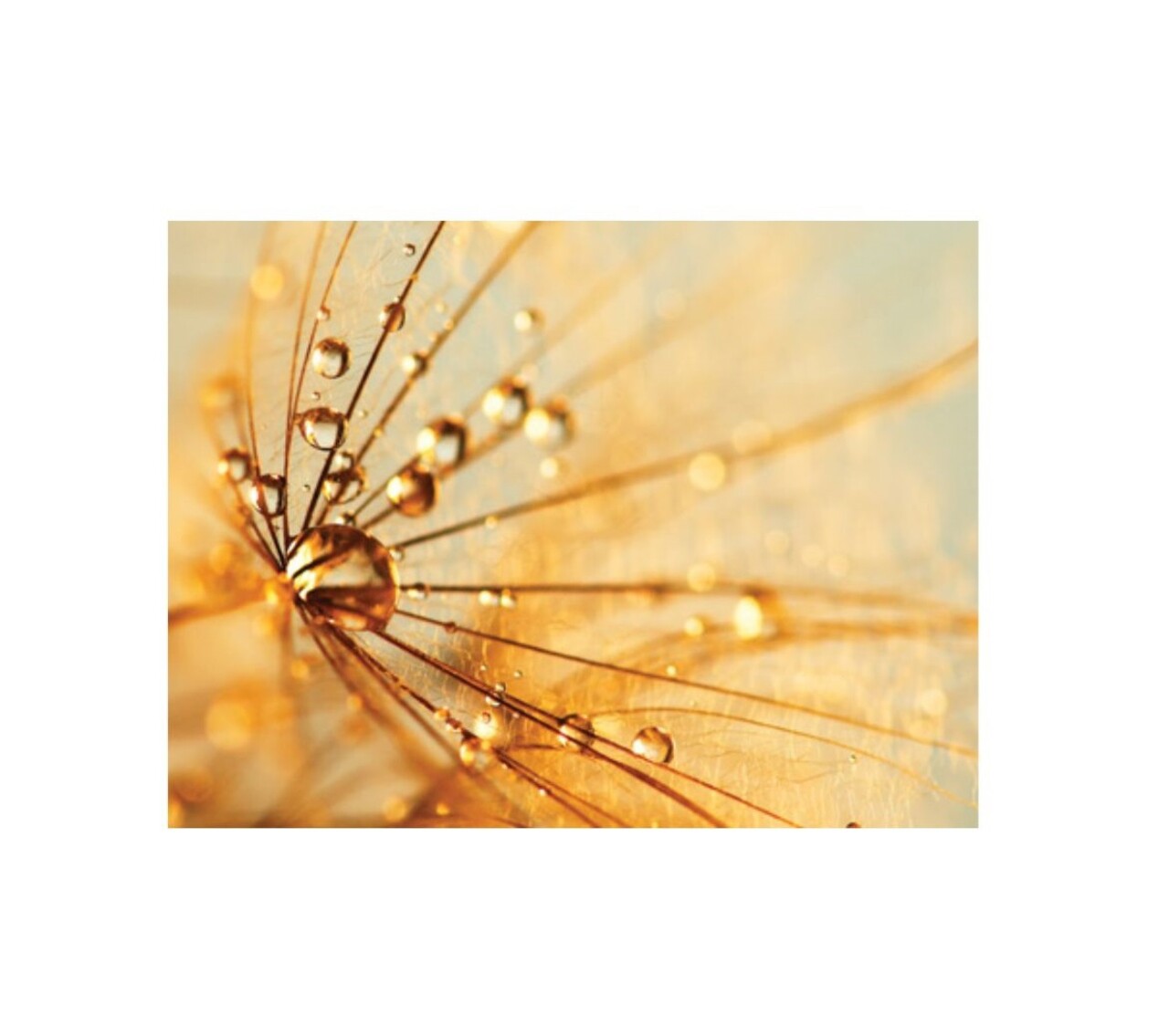 Rezerva odorizanta pentru camera Venice, 250 ml, Spring Air