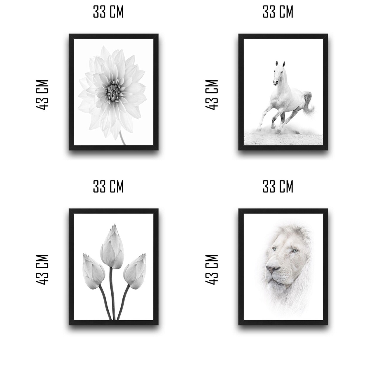 Set 4 tablouri decorative, White World Set, PAL, Hartie, Multicolor