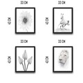 Set 4 tablouri decorative, White World Set, PAL, Hartie, Multicolor