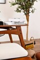 Set Masa si Scaune, Vow Chair, Touch (2S-1B), Lemn de carpen, Maro/Crem