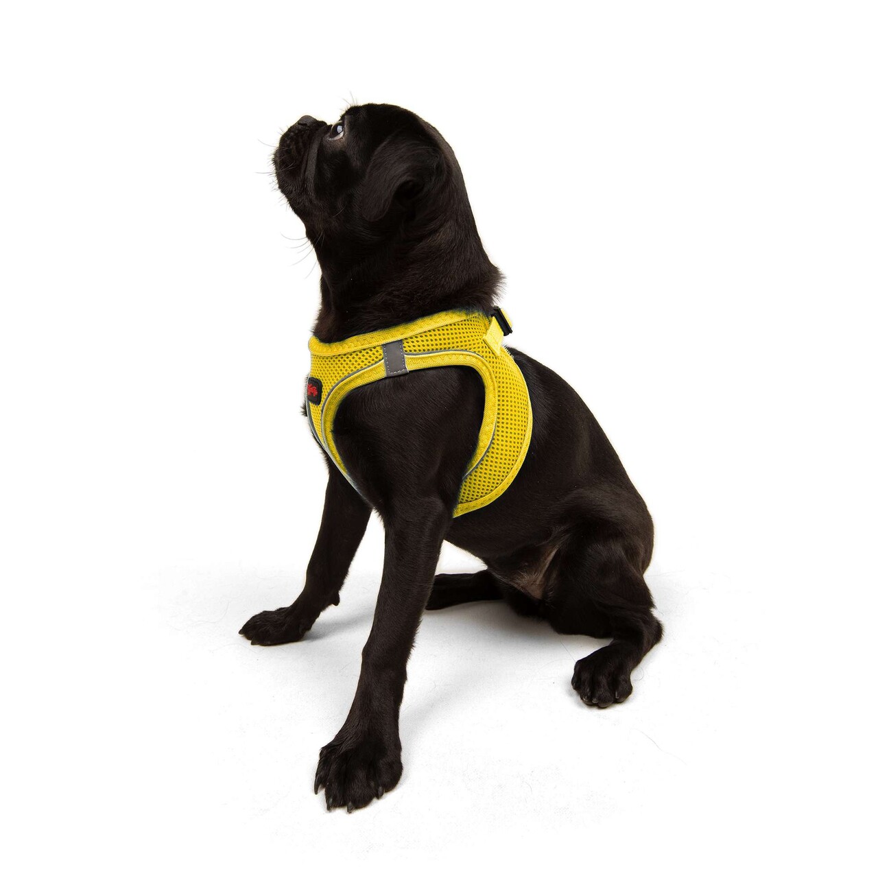 Ham pentru câini, Paws &amp; Whiskers, Air-Mesh, Poliester, Galben - imagine 7