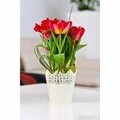 Ghiveci Koronka dantelat 16,5 cm, plastic, alb
