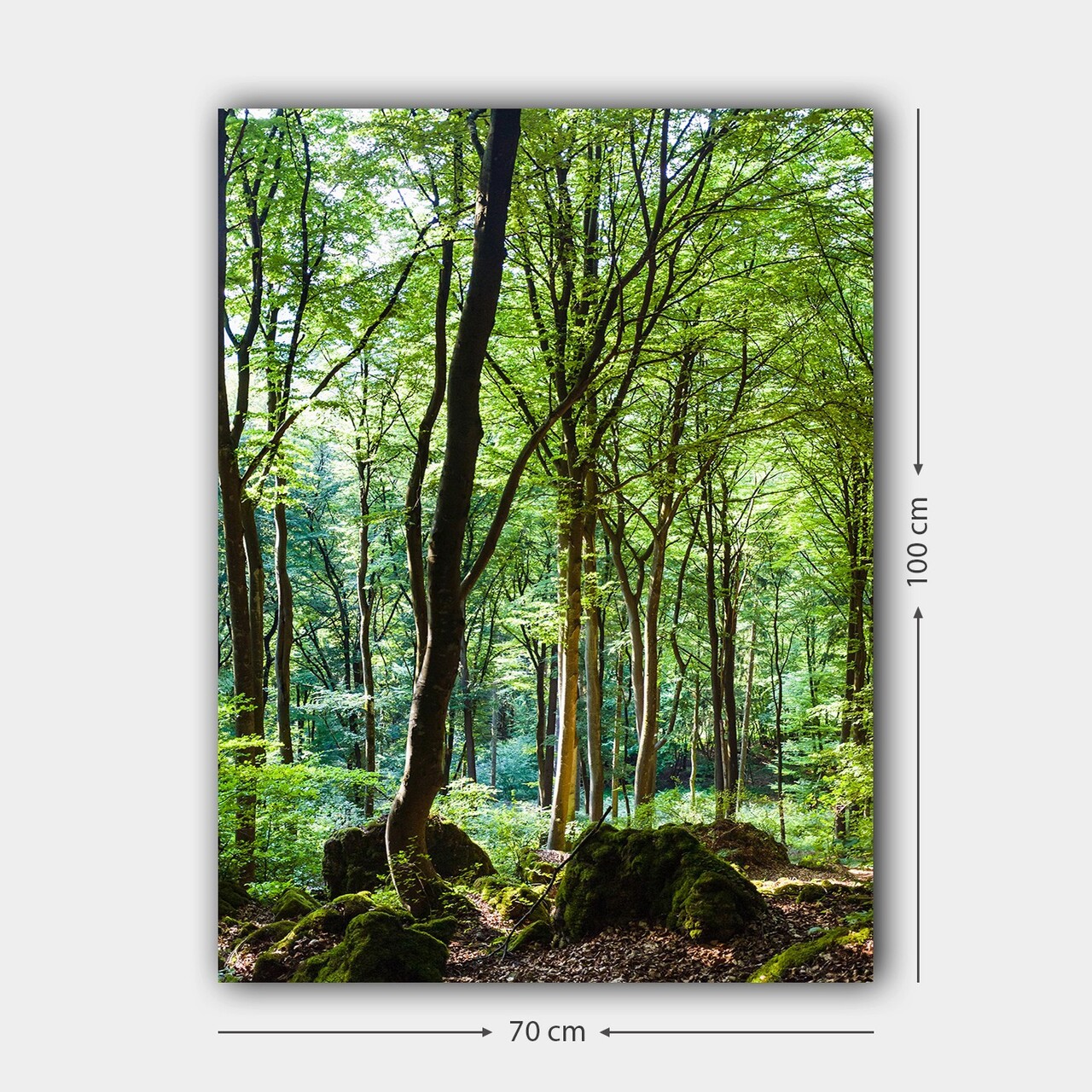Tablou decorativ, 788516065_70100, Cadru: 100% LEMN (grosime: 3 cm), Multicolor - view 3