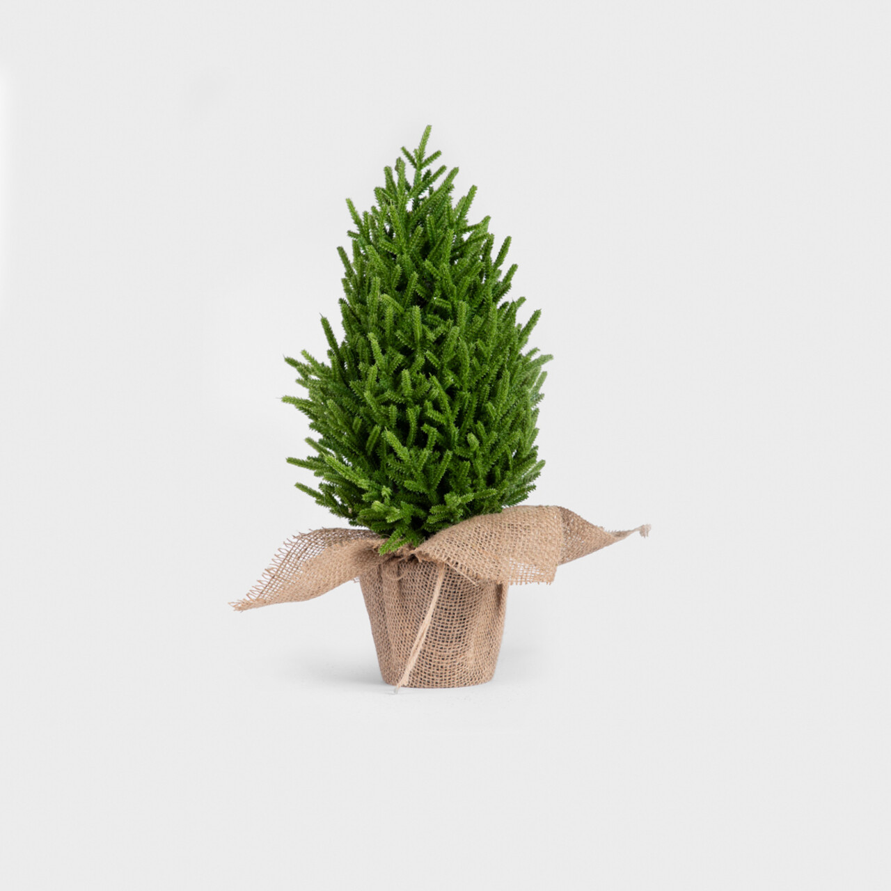 Brad artificial Hector, Homla, 48 cm, plastic, verde - 1 | YEO