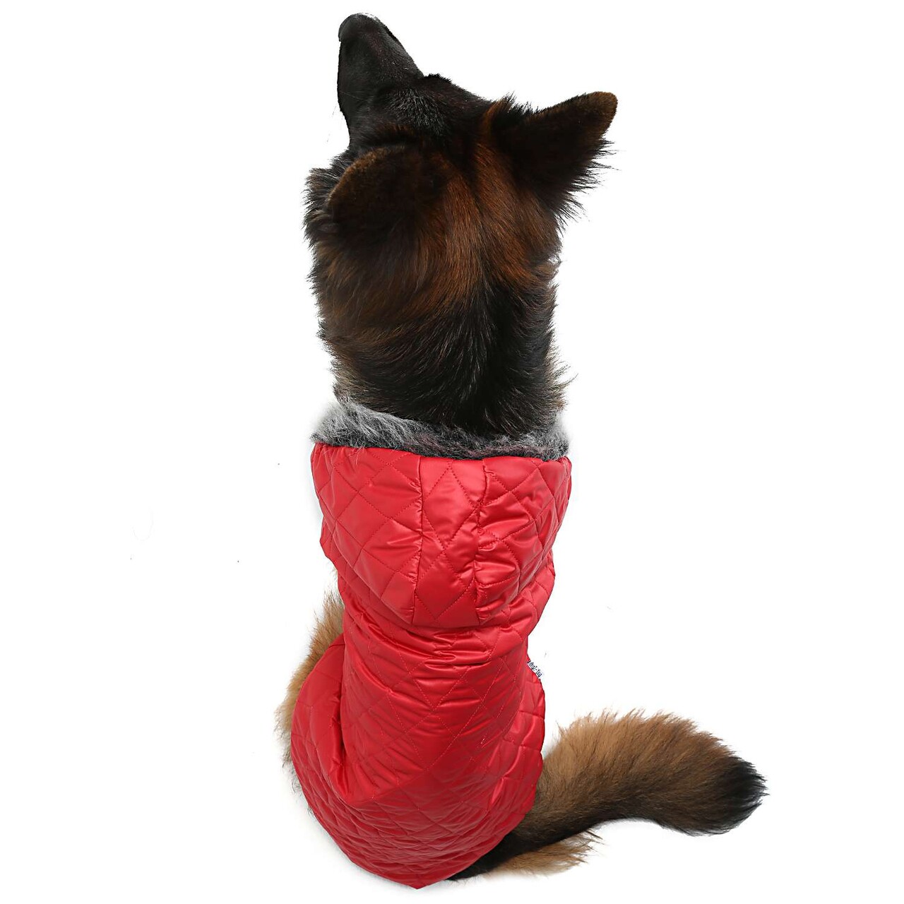 Hanorac pentru câini, Paws &amp; Whiskers, Redcoat, Rosu - imagine 3