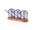 Set recipiente pentru condimente cu suport, Plasberg, 619PLS1154, Plastic, Maro/Mov