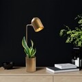 Lampa de masa, Pot - 11490, Fulgor, 12 x 27 x 67 cm, 1 x E14, 40W, auriu