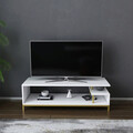 Comoda TV, Retricy, Reilly, 120x44.6x37.6 cm, PAL, Aur/Alb