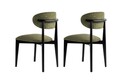 Set scaune 2 piese, Wayland, Lionte, Verde/Negru