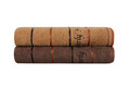Set prosoape de maini 2 piese, Beverly Hills Polo Club, 407, Bumbac, Caramel/Maro