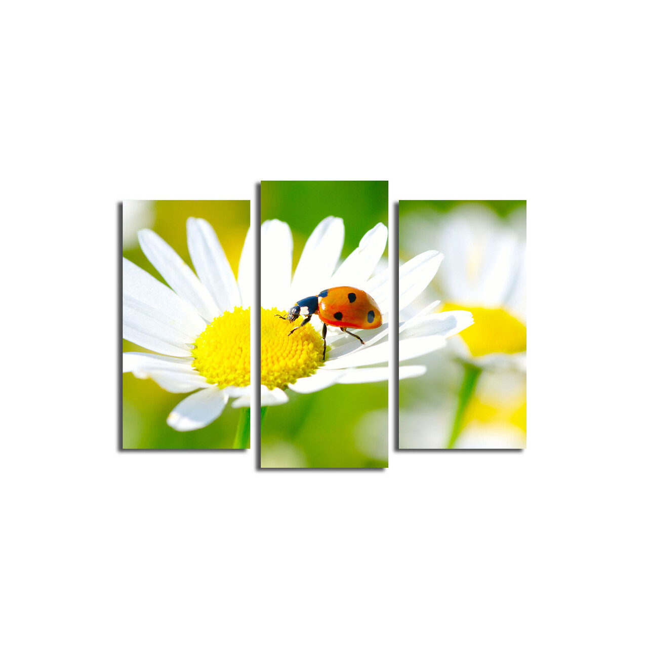 Set 3 tablouri decorative, 3PATK-77, 20 x 39 cm, 2 piese, Multicolor - view 4