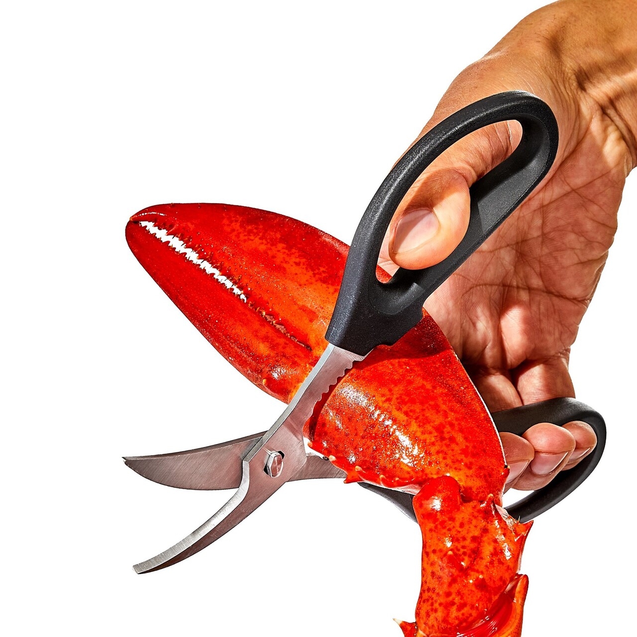 Foarfeca fructe de mare, inox, 19cm, "Good Grips" - OXO - imagine 6