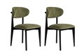Set scaune 2 piese, Wayland, Lionte, Verde/Negru