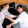Perna de podea pentru relaxare Human Dog Bed XXL, InnovaGoods, 190 x 140 x 25 cm, poliester, gri