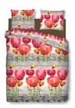 Lenjerie de pat dubla Poppies, Bedora, 4 piese, 200x220, 100% bumbac, multicolor
