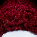 Covor Shaggy Louis Border, Decorino, 80x150 cm, polipropilena, rosu