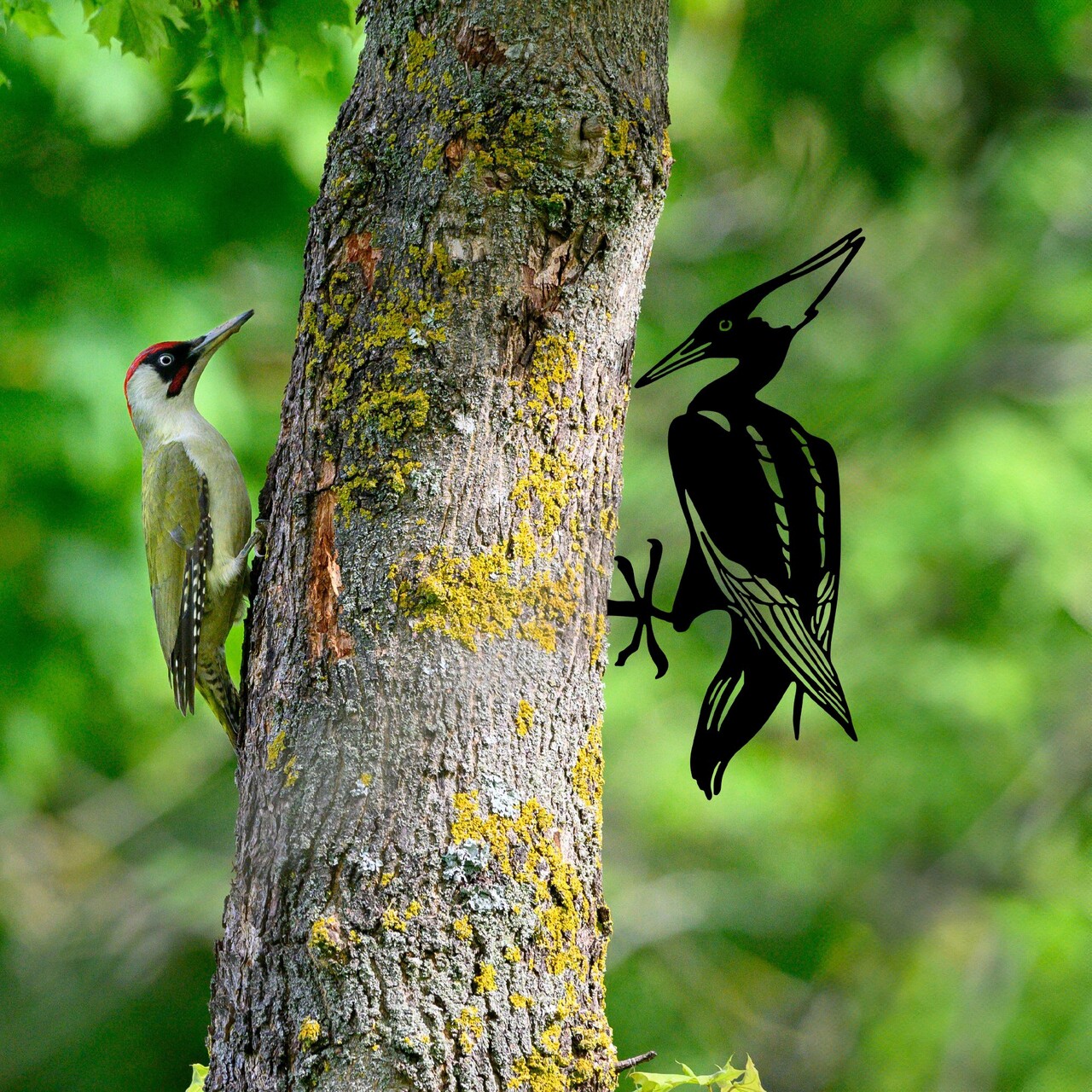 Obiect decorativ de grădină, Bird On The Branch 10, 22x40 cm, Negru - view 2