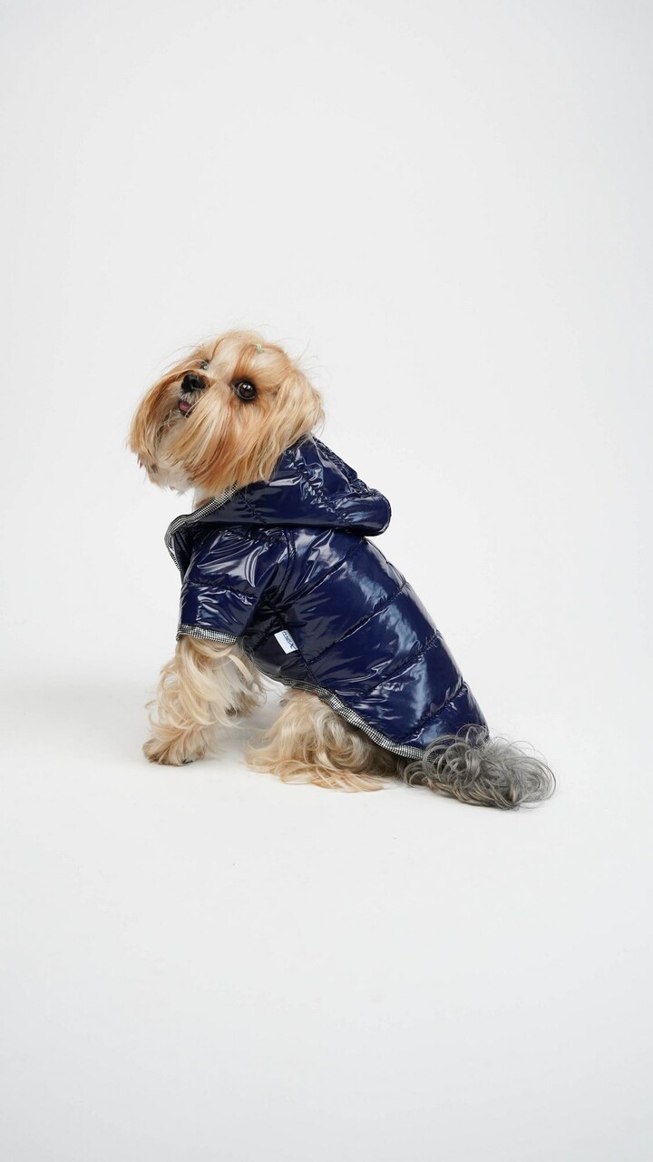 Hanorac pentru câini, Paws &amp; Whiskers, Moncler Coat, Indigo - view 2