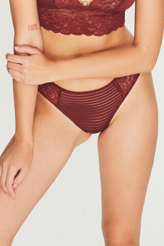 Chiloti, 556brl1729 - s, bralet, bumbac, maro