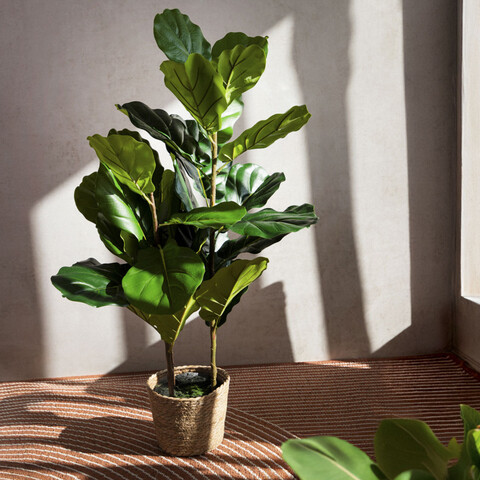 Planta artificiala smochin Tropical Zone, Homla, 15x13 cm / 100 cm, plastic, verde
